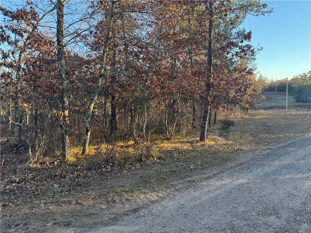 Land at Lot 2 Sandy Shores Drive, Minong, WI 54859 — photo 48