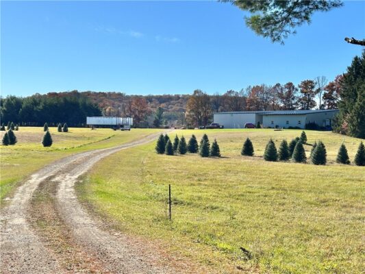 W13090 Shady Glen Rd. Hixton WI 54635 — photo 1
