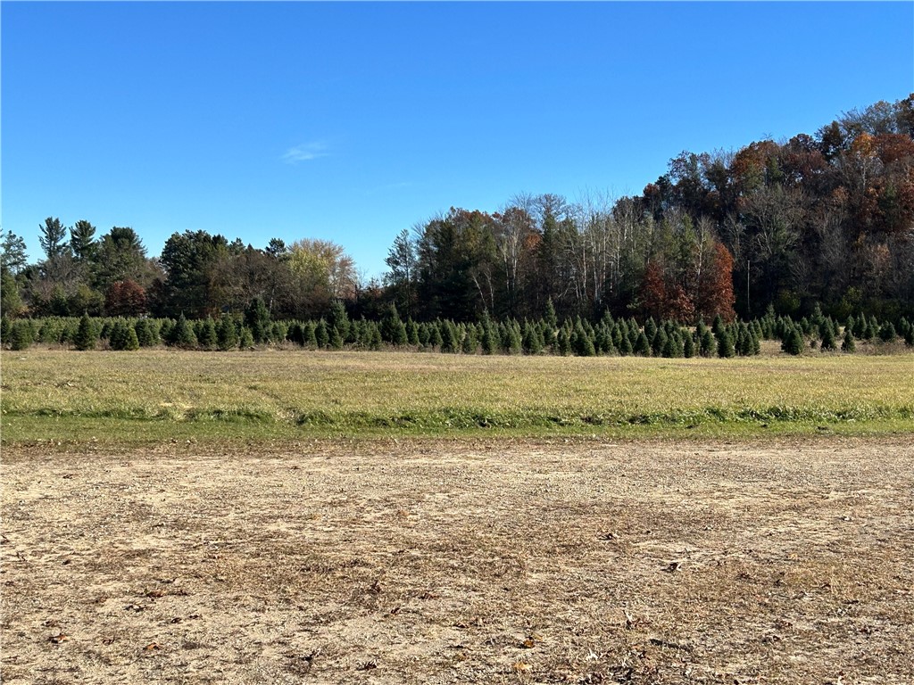 W13090 Shady Glen Rd. Hixton WI 54635 — photo 29