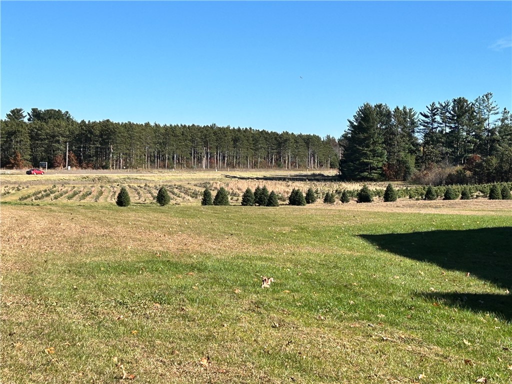 W13090 Shady Glen Rd. Hixton WI 54635 — photo 33