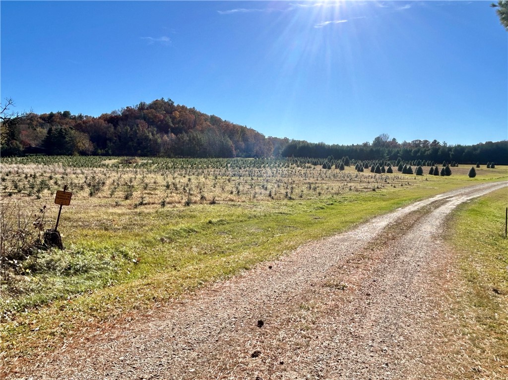 W13090 Shady Glen Rd. Hixton WI 54635 — photo 36