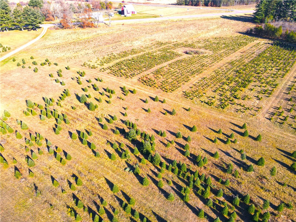 W13090 Shady Glen Rd. Hixton WI 54635 — photo 41