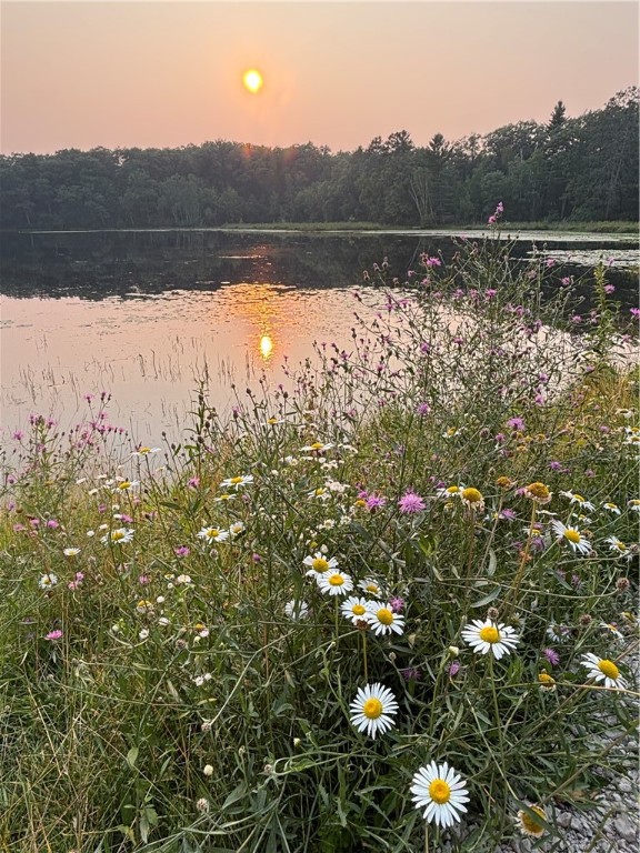 11495-Tiger-Cat-Hayward-WI-54843-2