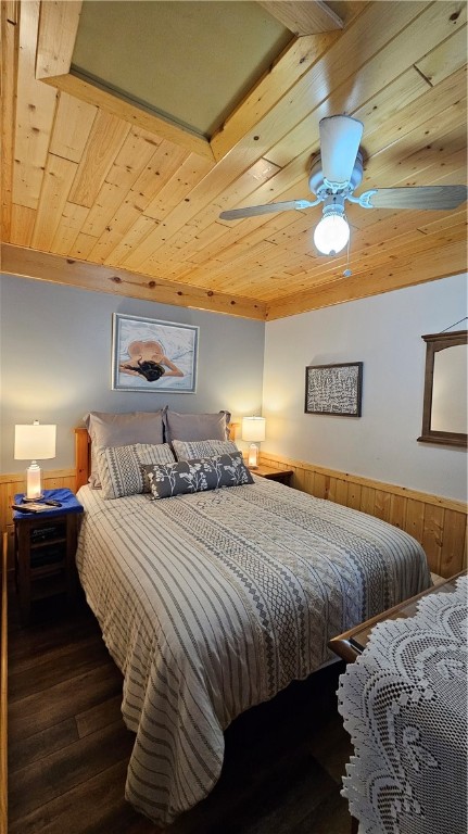 11495-Tiger-Cat-Hayward-WI-54843-4