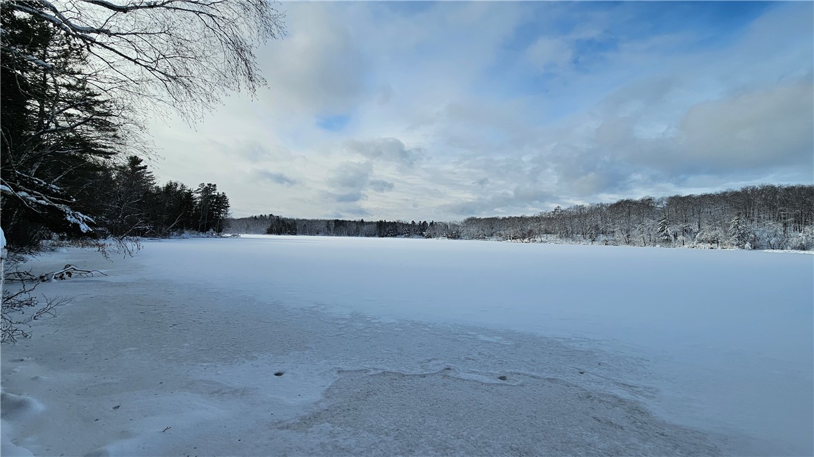 11495-Tiger-Cat-Hayward-WI-54843-6