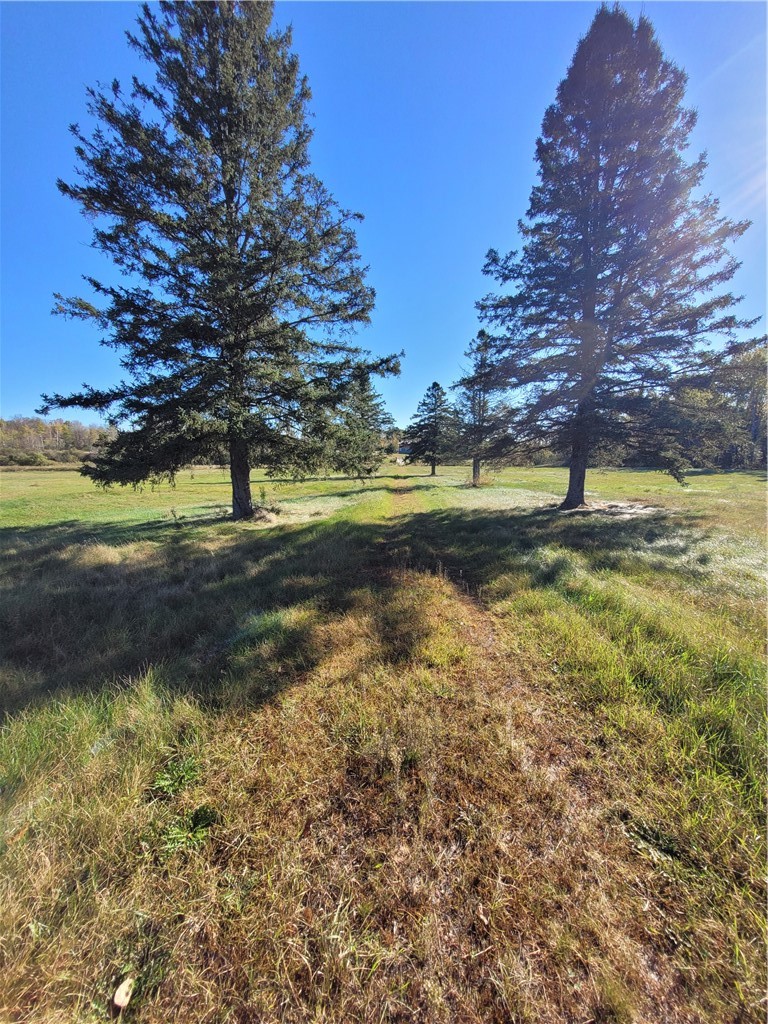 11701 W State Route 27/70 Couderay WI 54828 — photo 5