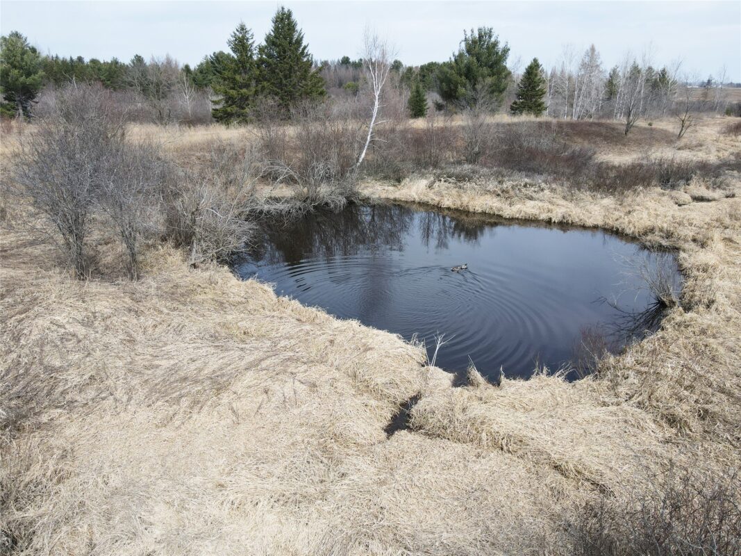 12058 W State Highway 8, Bruce, WI — photo 3