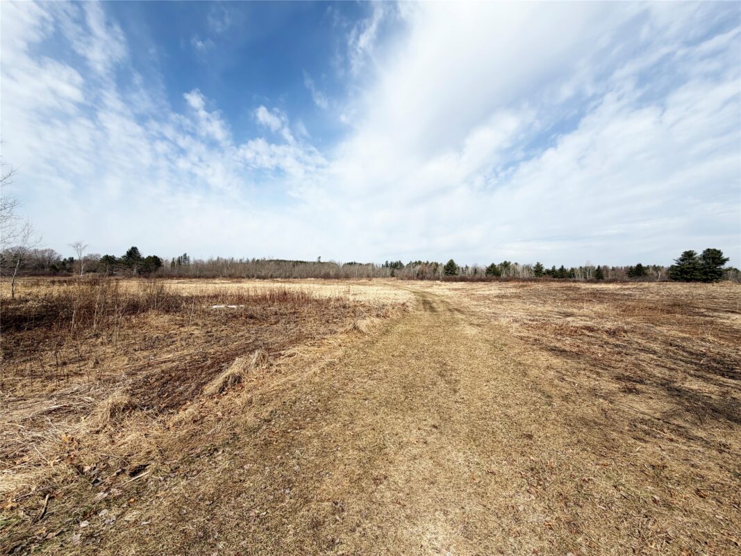 12058 W State Highway 8, Bruce, WI — photo 34
