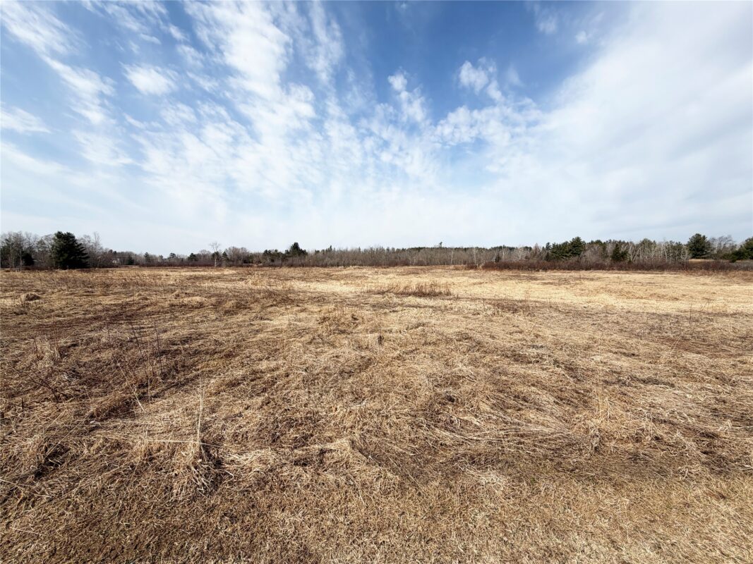 12058 W State Highway 8, Bruce, WI — photo 35