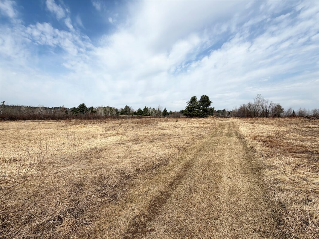 12058 W State Highway 8, Bruce, WI — photo 36