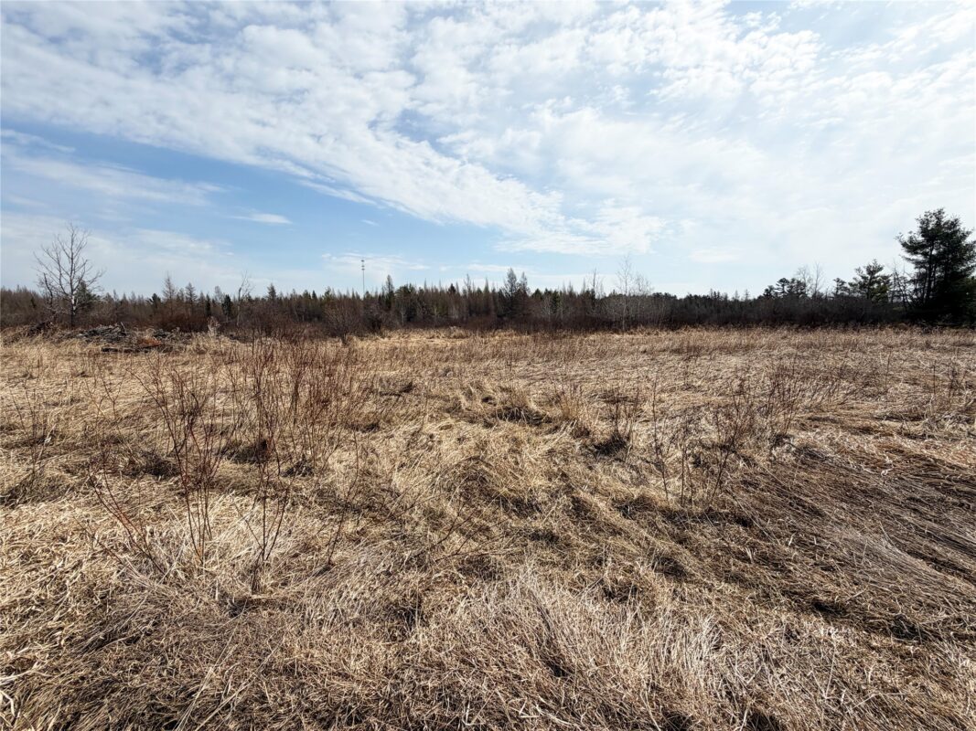 12058 W State Highway 8, Bruce, WI — photo 37