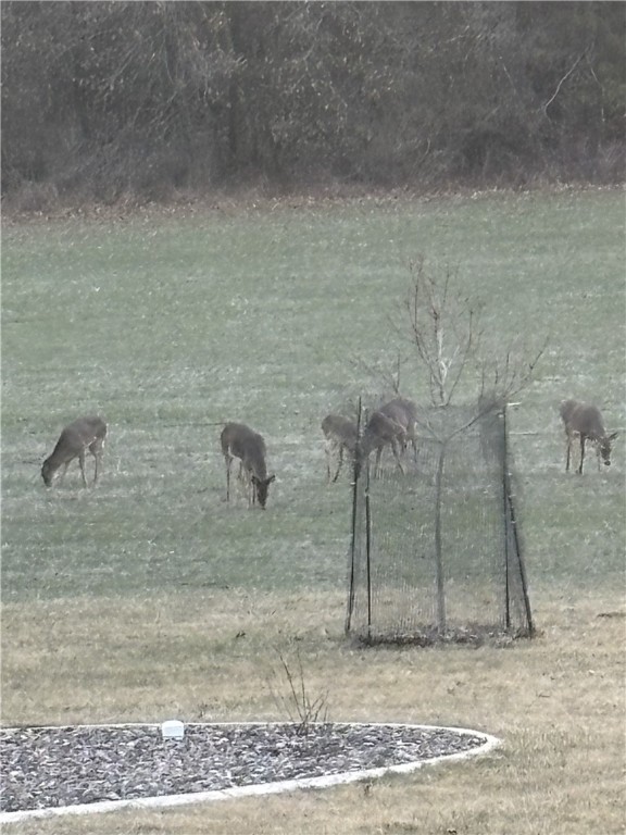 1290-Pleasant-Hill-Eau-Claire-WI-54703-8