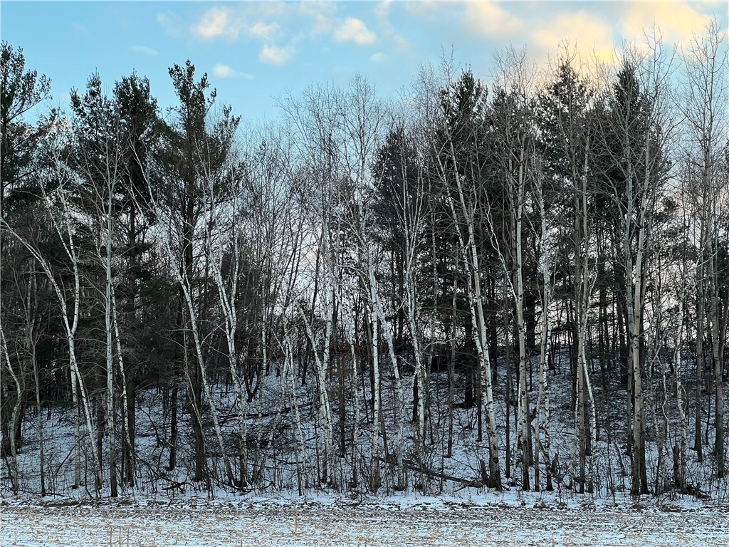 13022-222nd-Bloomer-WI-54724-1