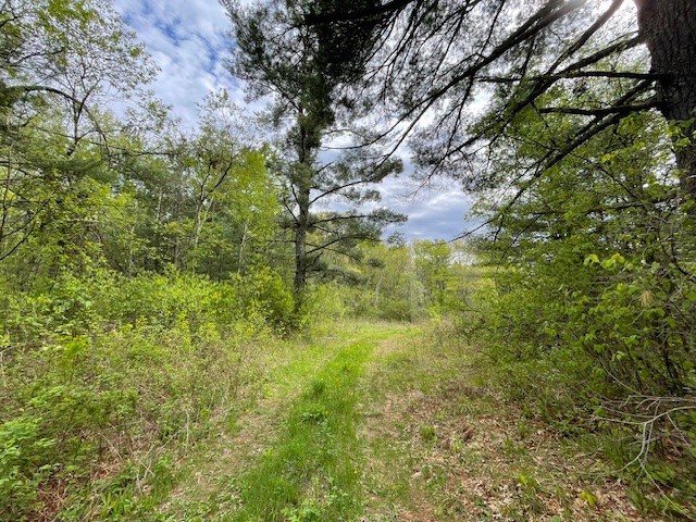 13550-Froemel-Hayward-WI-54843-7