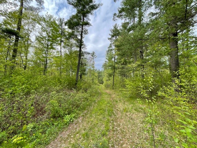 13550-Froemel-Hayward-WI-54843-8