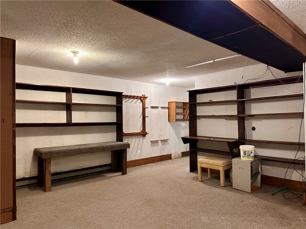 16680W-Raining-Tree-Stone-Lake-WI-54876-8