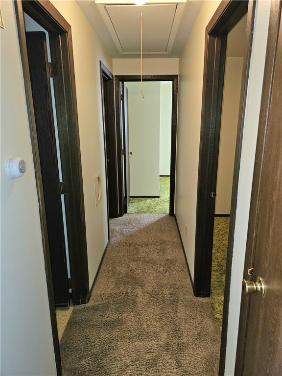 2704-David-Appleton-WI-54914-3