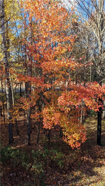 5267-County-Road-A-Webster-WI-54893-8