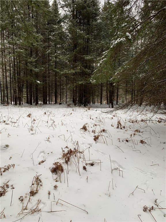 79879-Hinz-Glidden-WI-54527-7