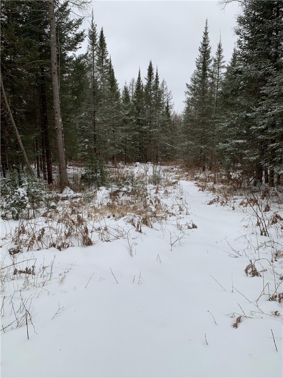 79879-Hinz-Glidden-WI-54527-8