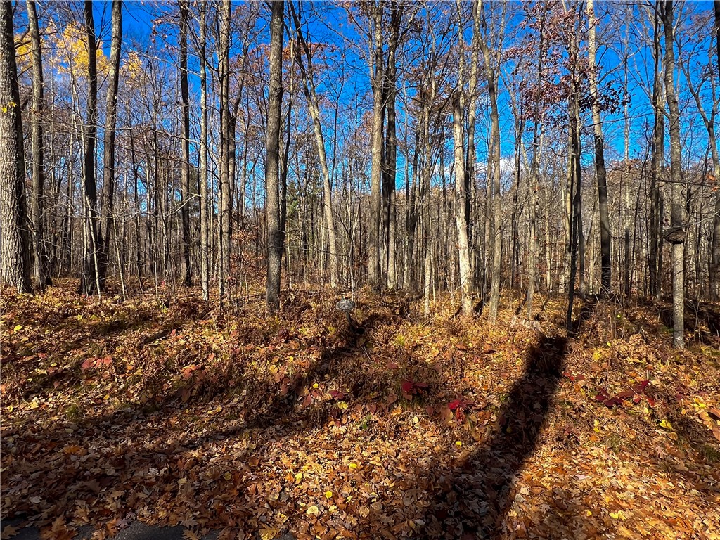 8264-Ochu-Hayward-WI-54843-8