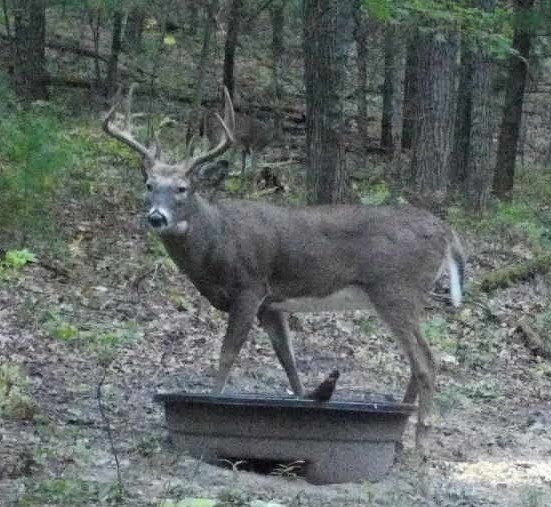 W10821-Johnson-Merrillan-WI-54754-3