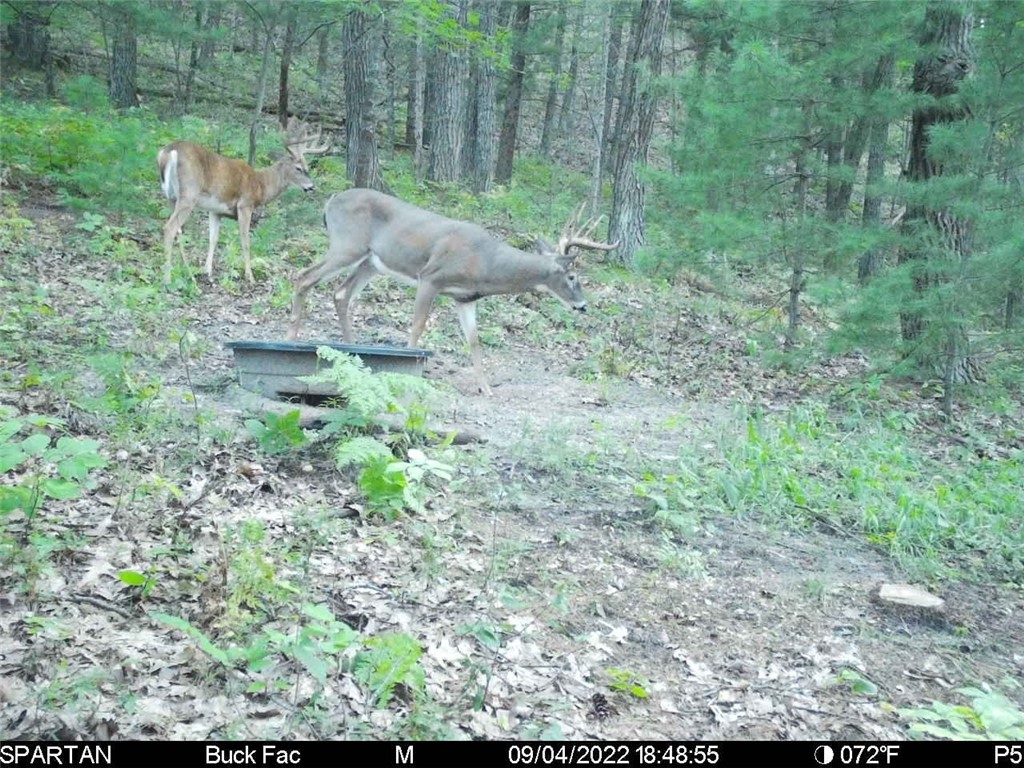 W10821-Johnson-Merrillan-WI-54754-4