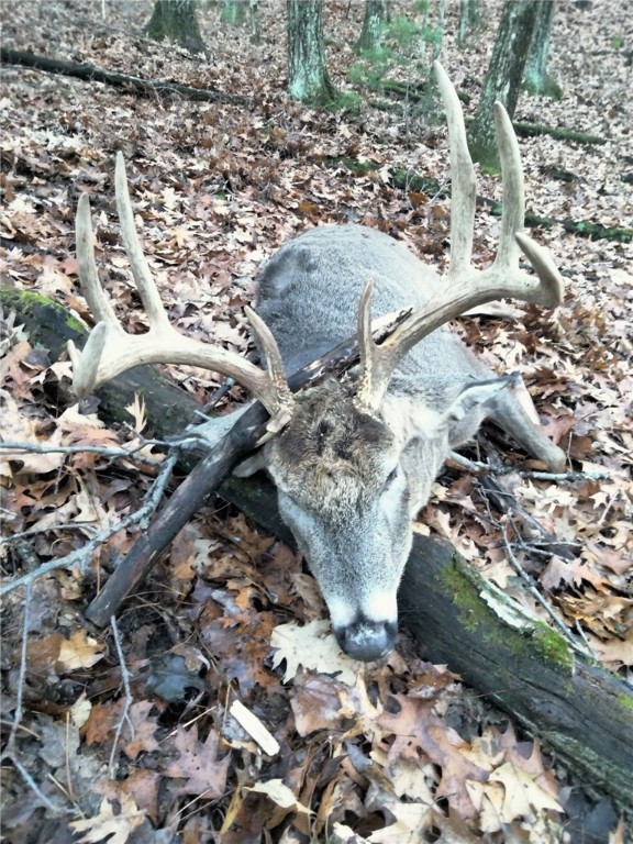 W10821-Johnson-Merrillan-WI-54754-5