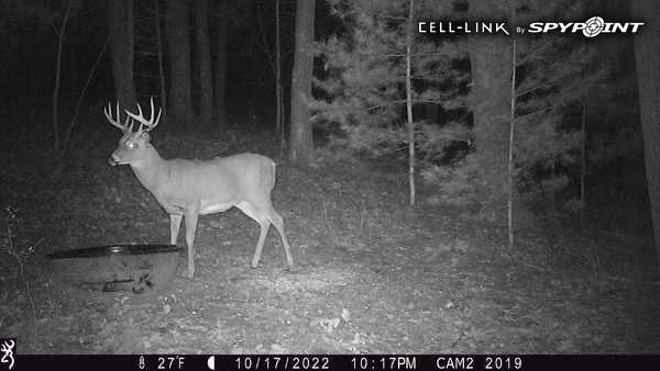 W10821-Johnson-Merrillan-WI-54754-6