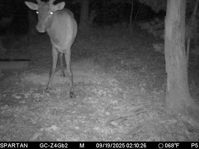 W10821-Johnson-Merrillan-WI-54754-7