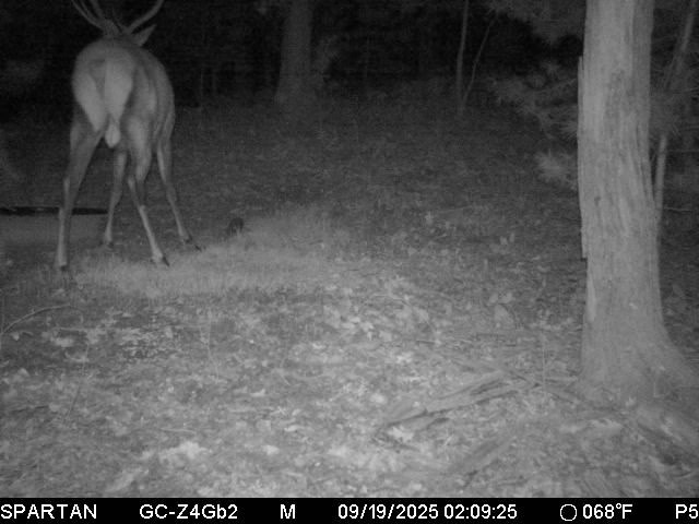 W10821-Johnson-Merrillan-WI-54754-8