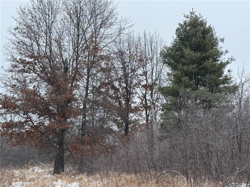 10221 HWY 73 