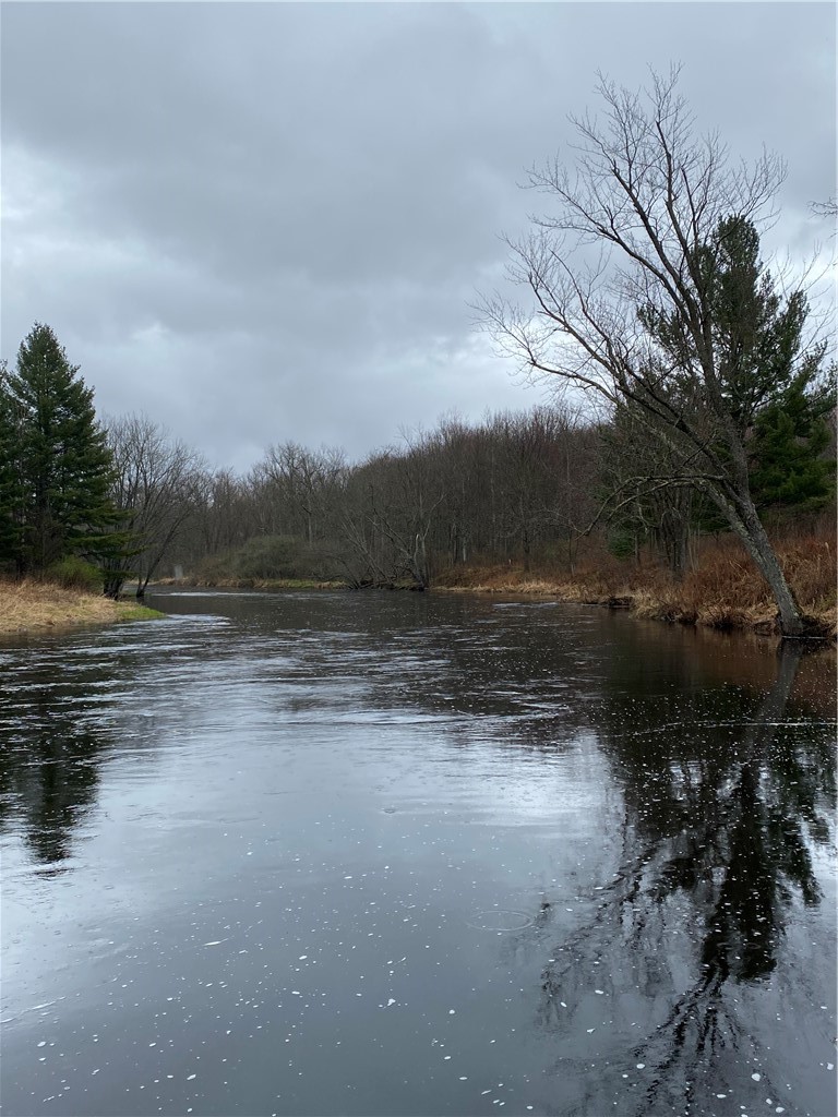 W16130 Franks Avenue, Gilman, WI — photo 6