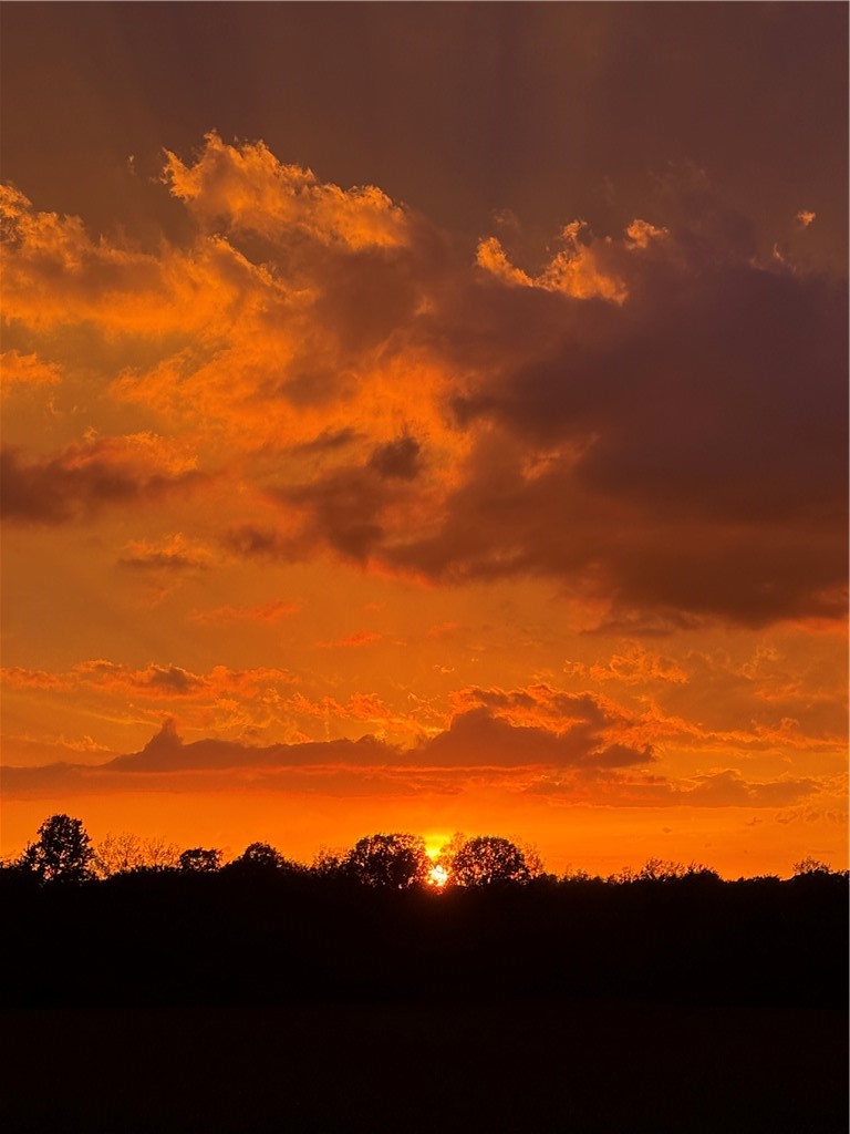 W16130 Franks Avenue, Gilman, WI — photo 8