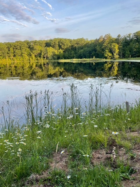 11495 W Tiger Cat Road, Hayward, WI — photo 17