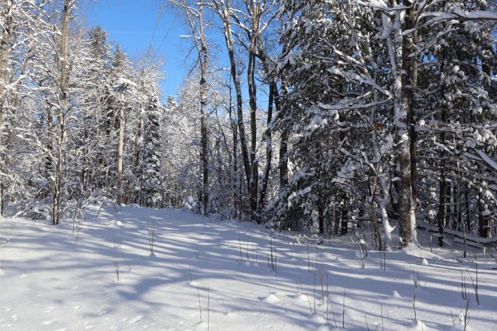 15660-County-Highway-M-Cable-WI-54821-9