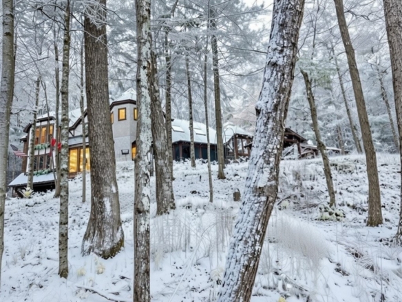 Residentialhouse for sale picture with an address of  16680W Raining Tree Road in Stone Lake and a list price of 999999