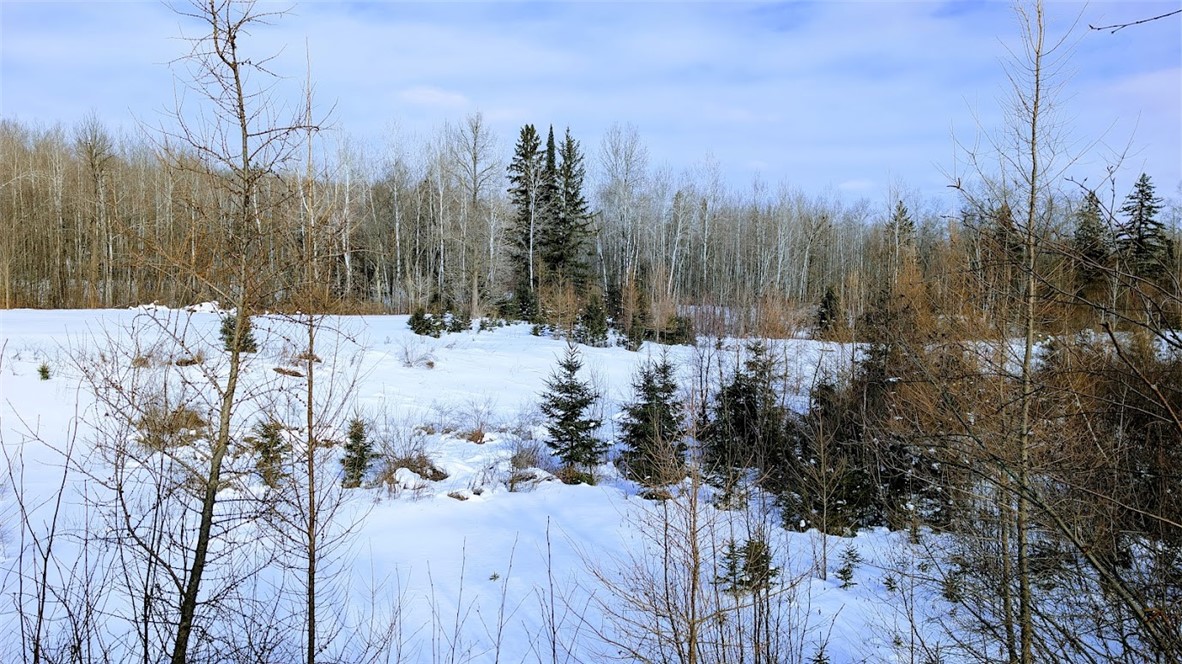 6660-Cozine-Ladysmith-WI-54848-3