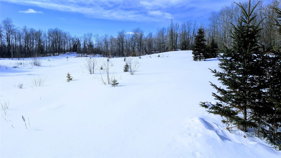 6660-Cozine-Ladysmith-WI-54848-4