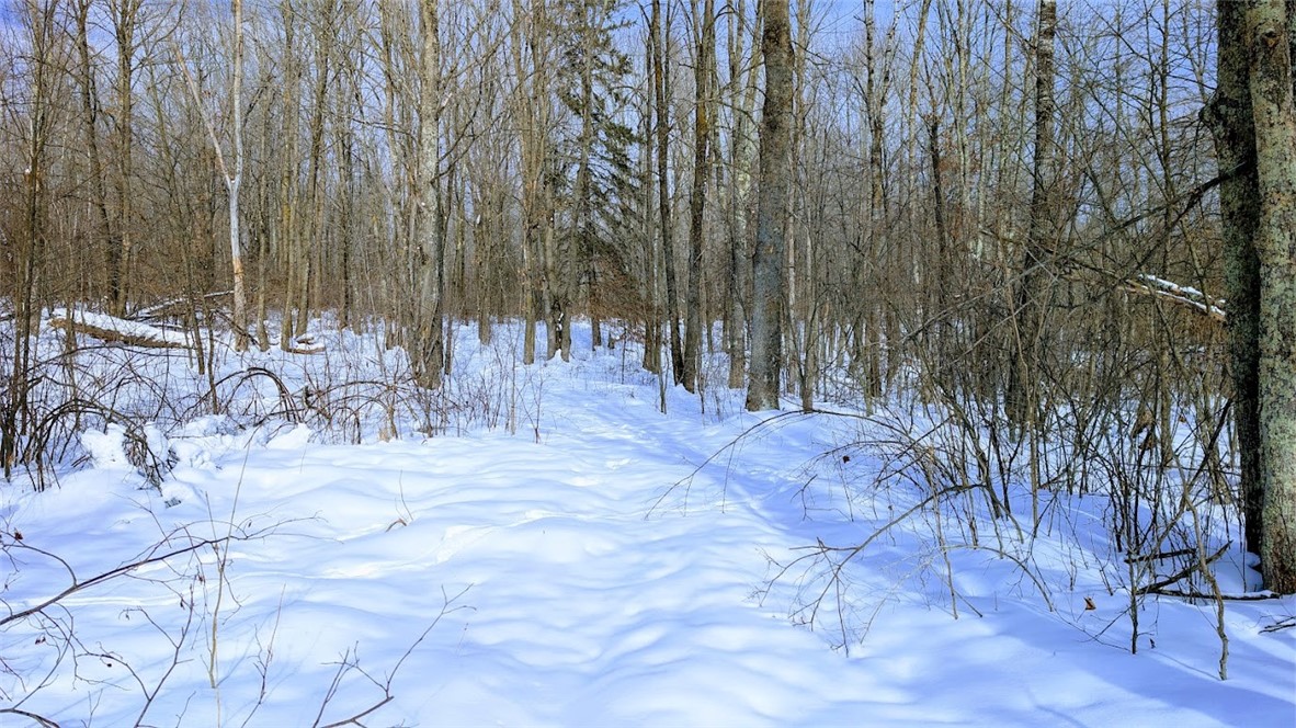 6660-Cozine-Ladysmith-WI-54848-6