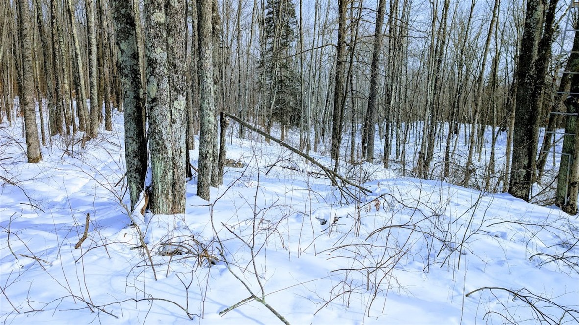 6660-Cozine-Ladysmith-WI-54848-7