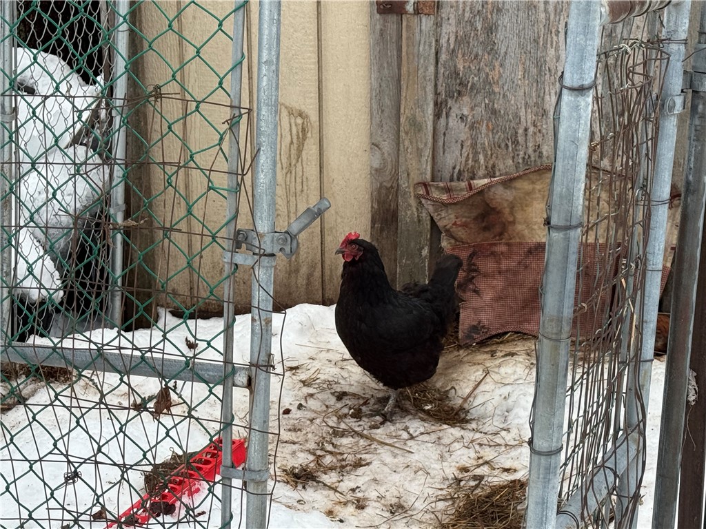 E5712-910th-Colfax-WI-54730-7