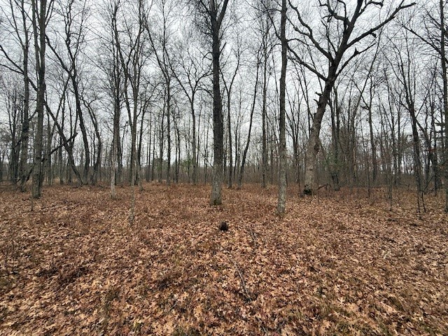 N850-Hamilton-Falls-Stanley-WI-54768-5