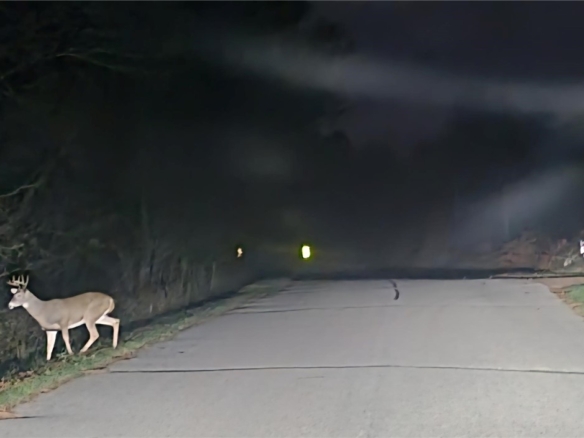 Residentialhouse for sale picture with an address of  W11601 Sand Road in Merrillan and a list price of 239900