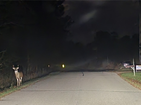 Residentialhouse for sale picture with an address of  W11601 Sand Road in Merrillan and a list price of 239900