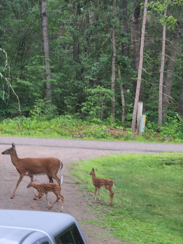 N6450 Ellsworth Lake Drive  Spooner WI 54801 — photo 41