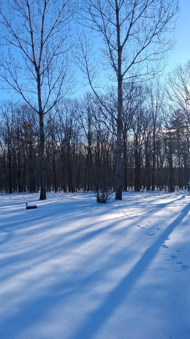 S825 Tower Road, Boyd, WI — photo 11