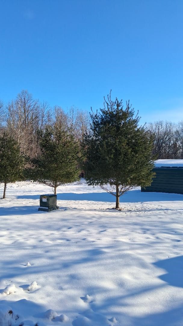 S825 Tower Road, Boyd, WI — photo 2