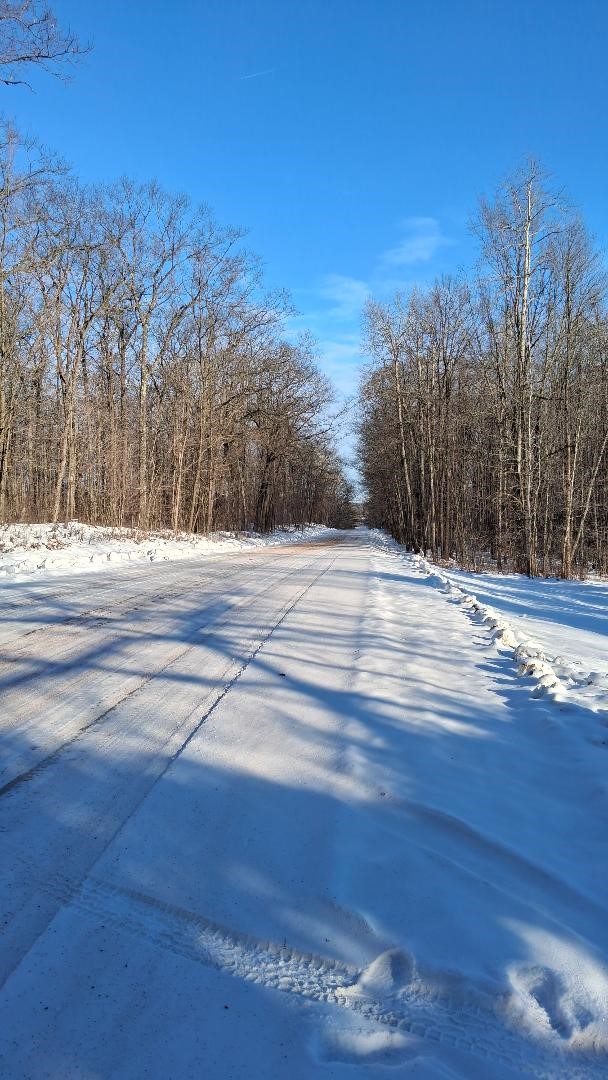 S825 Tower Road, Boyd, WI — photo 4