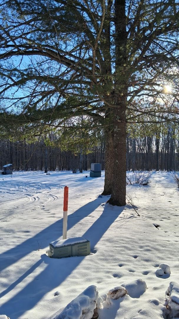 S825 Tower Road, Boyd, WI — photo 5